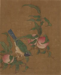 Vogel auf einem Aprikosenast